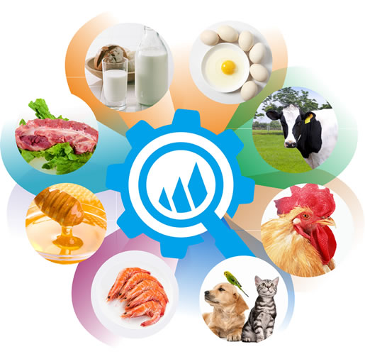 williamhill官网业务